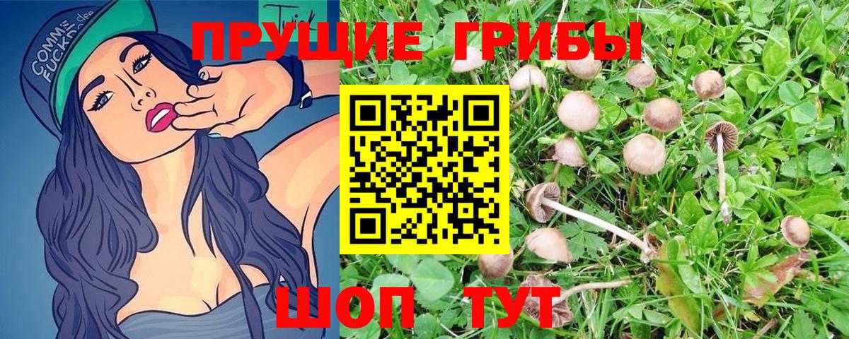 Галлюциногенные грибы GOLDEN TEACHER Нефтекумск