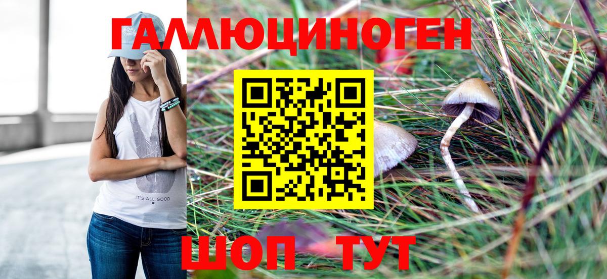 Нефтекумск  Галлюциногенные грибы Psilocybine cubensis  Вход с VPN 
