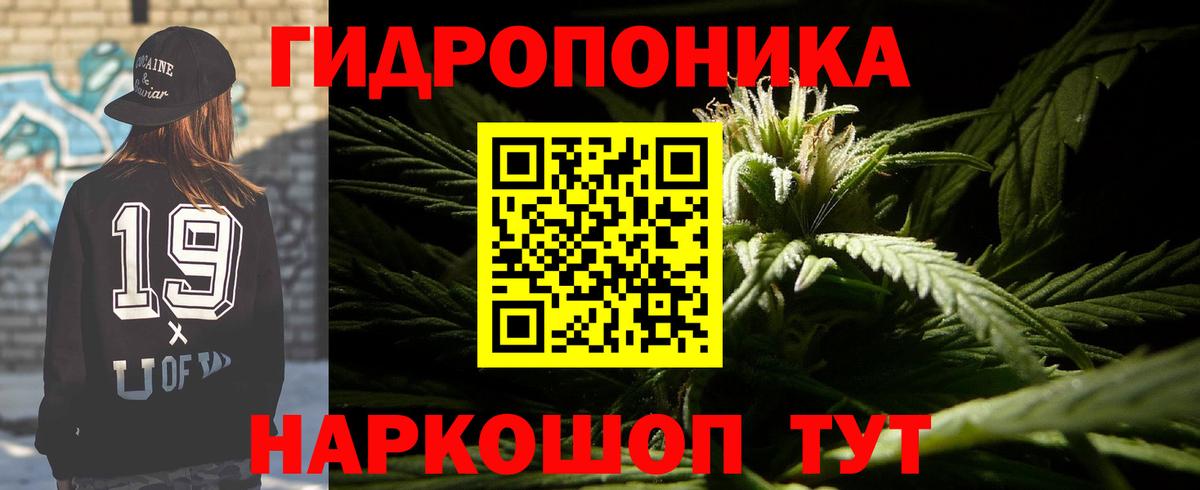Конопля OG Kush  МАРИХУАНА конопля  Нефтекумск  Бошки Шишки LSD WEED  Вход с VPN  Шишки марихуана индика 
